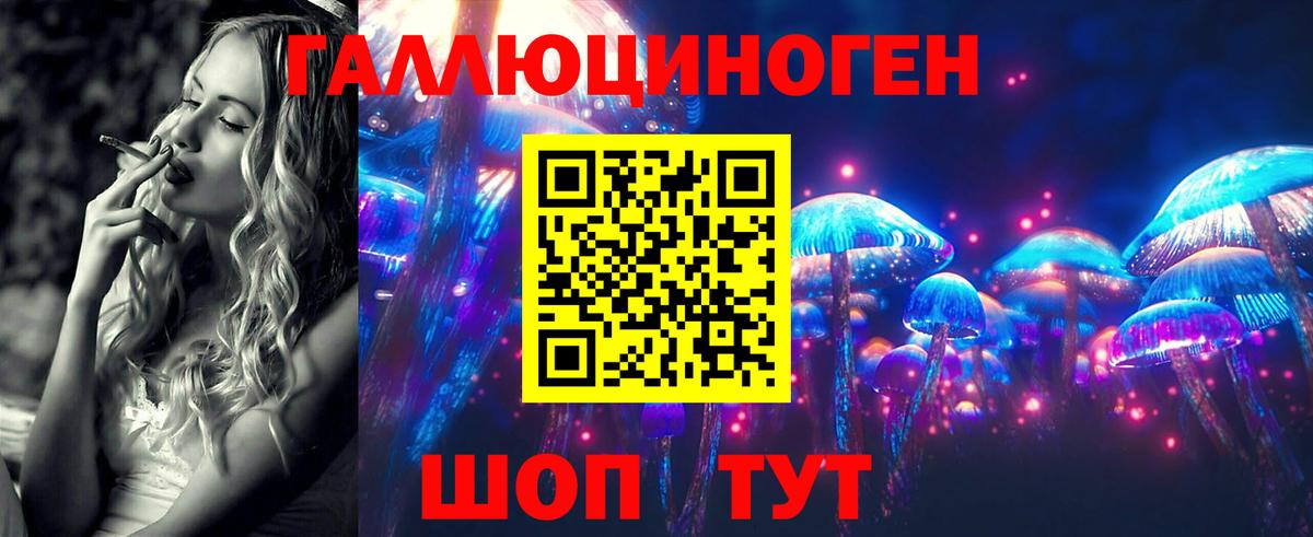 Галлюциногенные грибы мицелий Камень-на-Оби