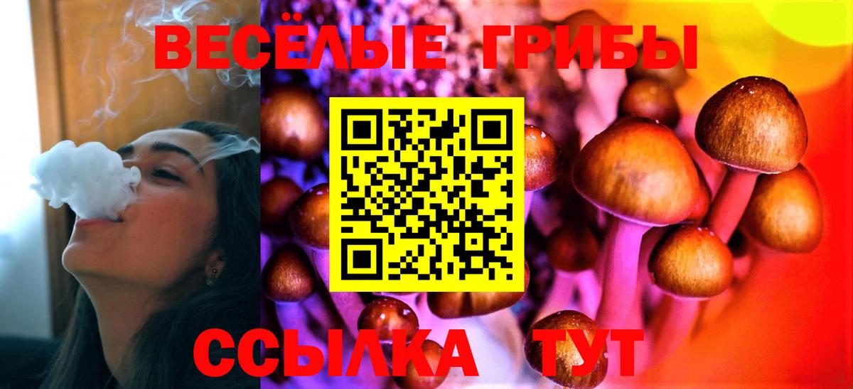 Камень-на-Оби  Псилоцибиновые грибы мухоморы  Вход с VPN 
